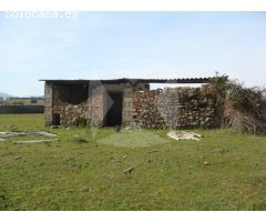 FINCA RUSTICA EN VENTA SITUADA EN EL PUEBLO DE IBAHERNANDO