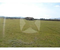 FINCA RUSTICA EN VENTA SITUADA EN EL PUEBLO DE IBAHERNANDO