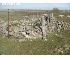 FINCA RUSTICA EN VENTA SITUADA EN EL PUEBLO DE IBAHERNANDO