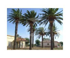 CHALET EN VENTA CON PARCELA DE 30.000 M2 ZONA CRTA. CACERES