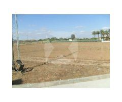 CHALET EN VENTA CON PARCELA DE 30.000 M2 ZONA CRTA. CACERES