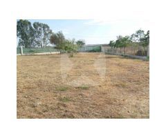 CHALET EN VENTA CON PARCELA DE 30.000 M2 ZONA CRTA. CACERES