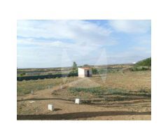 CHALET EN VENTA CON PARCELA DE 30.000 M2 ZONA CRTA. CACERES