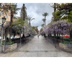 VIVIENDA REFORMADA EN ALQUILER CON COCINA AMUEBLADA. JUNTO A EL CORTE INGLES.