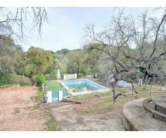 CHALET CON PISCINA Y NAVE EN AMPLIA PARCELA DE 5.000 M² EN TRES ARROYO