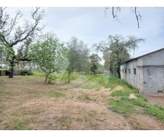 CHALET CON PISCINA Y NAVE EN AMPLIA PARCELA DE 5.000 M² EN TRES ARROYO
