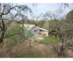 CHALET CON PISCINA Y NAVE EN AMPLIA PARCELA DE 5.000 M² EN TRES ARROYO