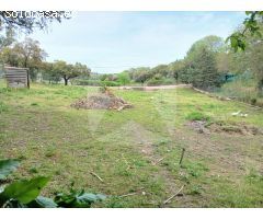 CHALET CON PISCINA Y NAVE EN AMPLIA PARCELA DE 5.000 M² EN TRES ARROYO