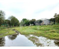 CHALET CON PISCINA Y NAVE EN AMPLIA PARCELA DE 5.000 M² EN TRES ARROYO