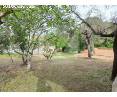 CHALET CON PISCINA Y NAVE EN AMPLIA PARCELA DE 5.000 M² EN TRES ARROYO