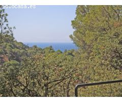 VISTAS AL MAR