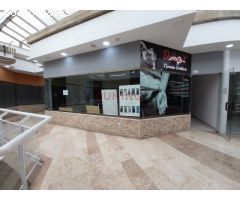Venta de local comercial situado en la galería comercial de Cánovas.