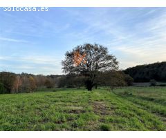 SE VENDE FINCA DE 5230M2 EN SANTIAGO DE COMPOSTELA