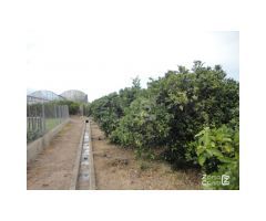 Chalet en Venta con Piscina y Vistas a la Montaña en Villena