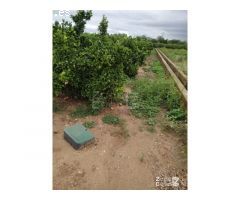 FINCA RUSTICA