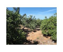 FINCA RUSTICA