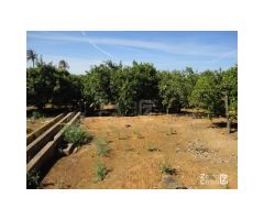 FINCA RUSTICA