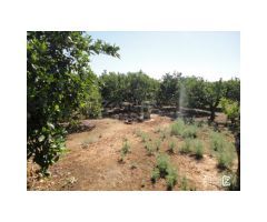 FINCA RUSTICA