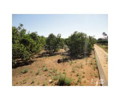 FINCA RUSTICA