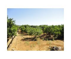 FINCA RUSTICA