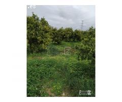 FINCA RUSTICA