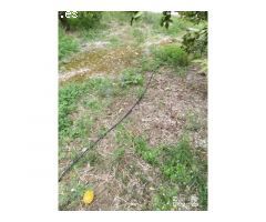 FINCA RUSTICA