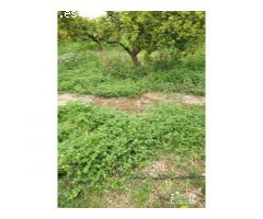 FINCA RUSTICA