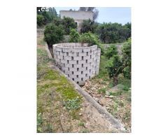 Finca Rústica Alzira