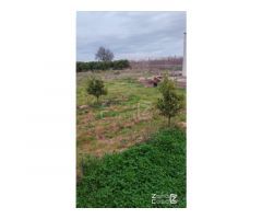Finca Rústica Alzira
