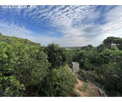 OPORTUNIDAD!!

Casa de campo para reformar, con unas vistas espectaculares y