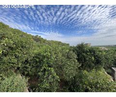 OPORTUNIDAD!!

Casa de campo para reformar, con unas vistas espectaculares y