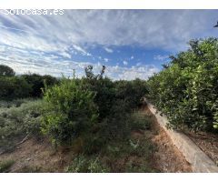OPORTUNIDAD!!

Casa de campo para reformar, con unas vistas espectaculares y