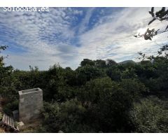 OPORTUNIDAD!!

Casa de campo para reformar, con unas vistas espectaculares y