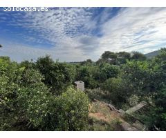 OPORTUNIDAD!!

Casa de campo para reformar, con unas vistas espectaculares y