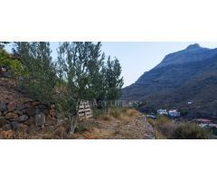 Suelo Rustico de 10000m2 en venta en Ayagaures!
