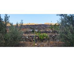Suelo Rustico de 10000m2 en venta en Ayagaures!