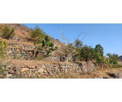 Suelo Rustico de 10000m2 en venta en Ayagaures!