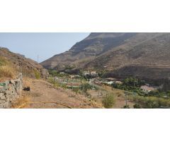 Suelo Rustico de 10000m2 en venta en Ayagaures!