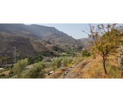 Suelo Rustico de 10000m2 en venta en Ayagaures!