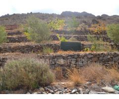 Suelo Rustico de 10000m2 en venta en Ayagaures!