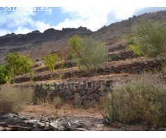 Suelo Rustico de 10000m2 en venta en Ayagaures!