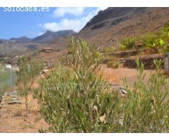 Suelo Rustico de 10000m2 en venta en Ayagaures!
