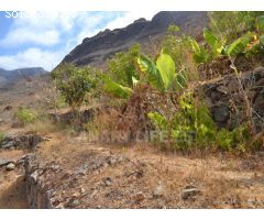 Suelo Rustico de 10000m2 en venta en Ayagaures!