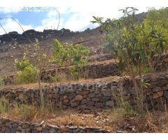 Suelo Rustico de 10000m2 en venta en Ayagaures!