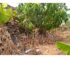 Suelo Rustico de 10000m2 en venta en Ayagaures!