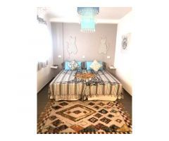 Apartamento renovado de 2 dormitorios y 2 baños con gran terraza privada y
