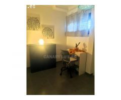 Apartamento renovado de 2 dormitorios y 2 baños con gran terraza privada y