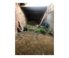 ¡¡ OPORTUNIDAD DESTACADA !!