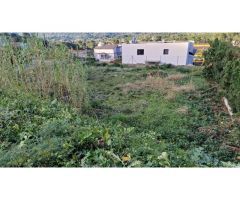PARCELA EN LA BARRACA DE AGUAS VIVAS (CARCAIXENT)