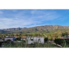 PARCELA EN LA BARRACA DE AGUAS VIVAS (CARCAIXENT)